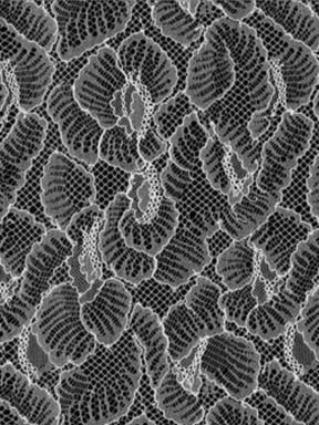 Ivory French Lace - LA2014