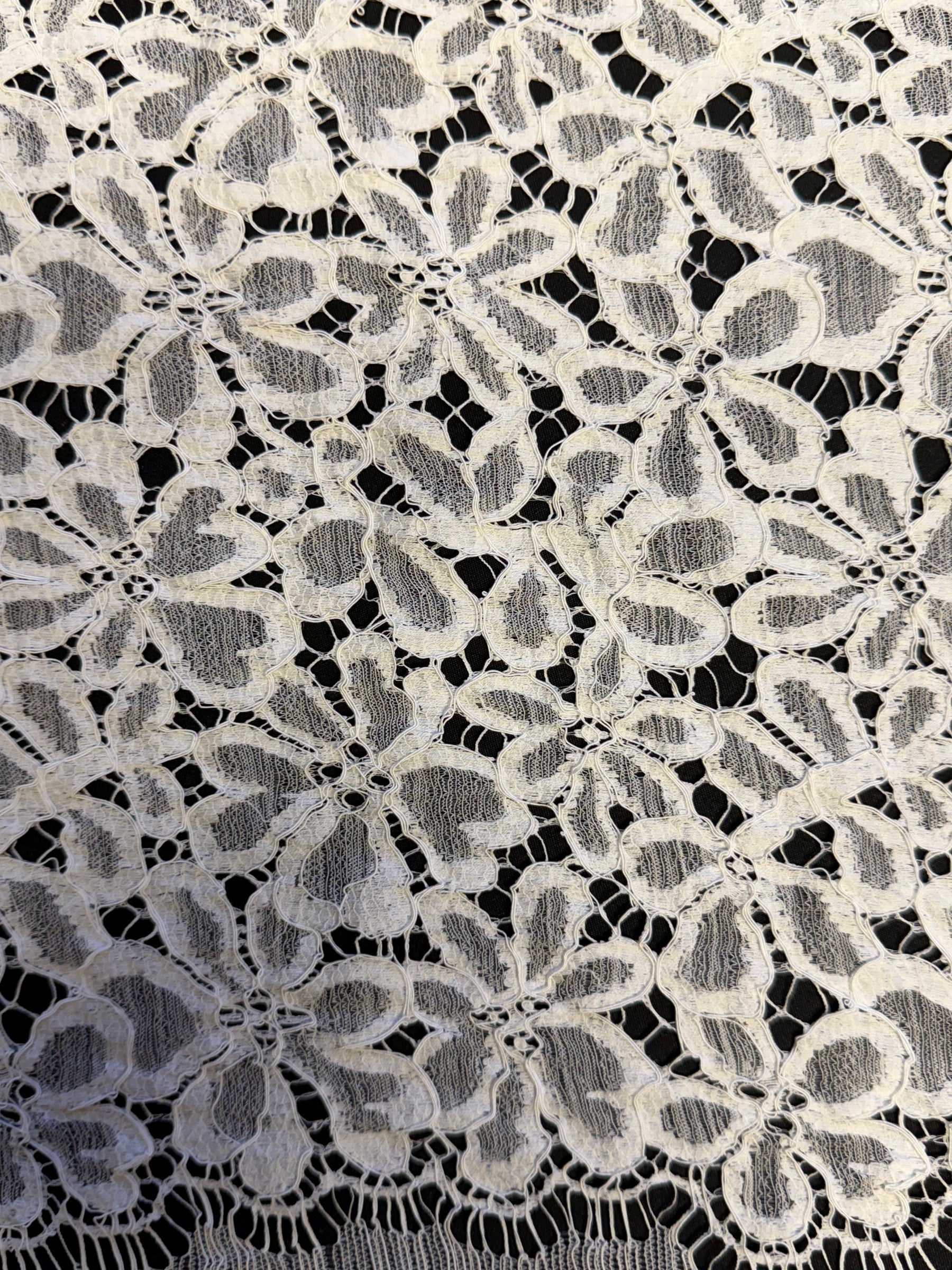 Ivory Corded French Lace - LA4006