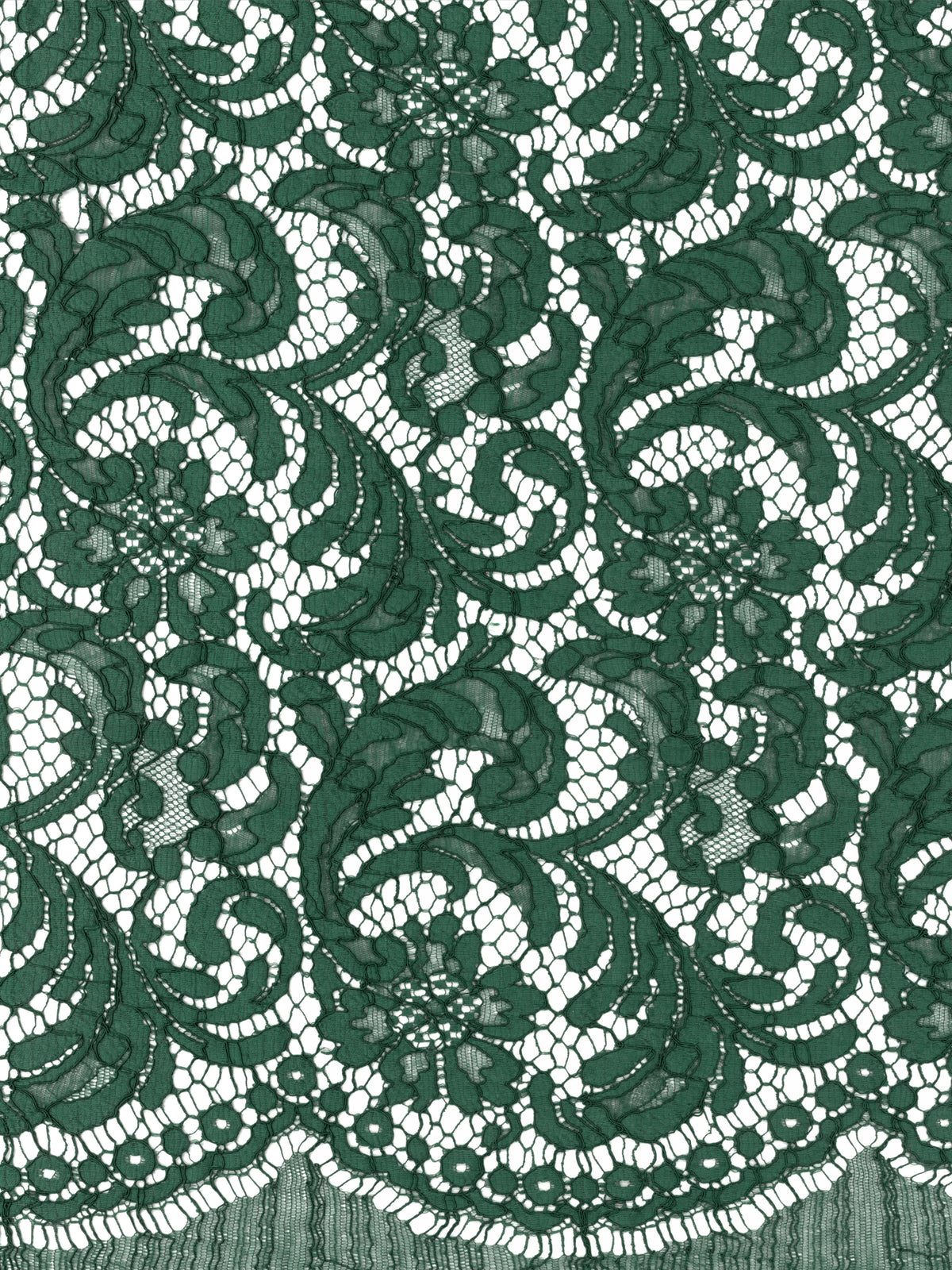 Emerald Eco French Corded Lace - LA4007