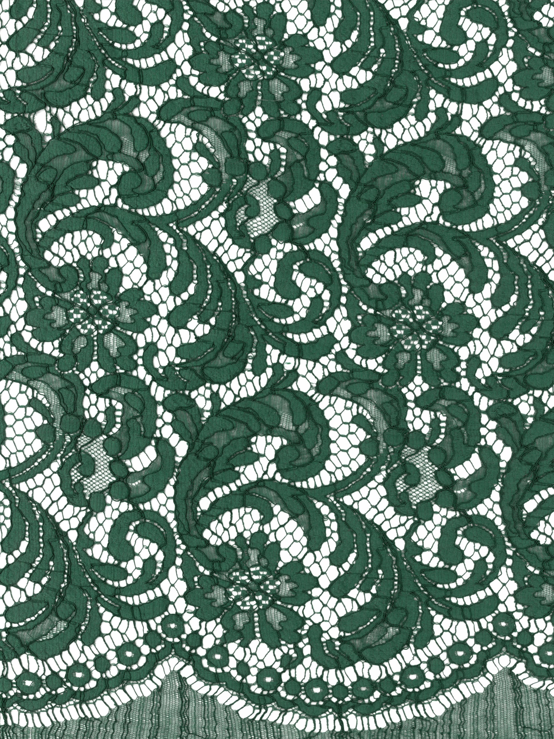 Emerald Eco French Corded Lace - LA4007
