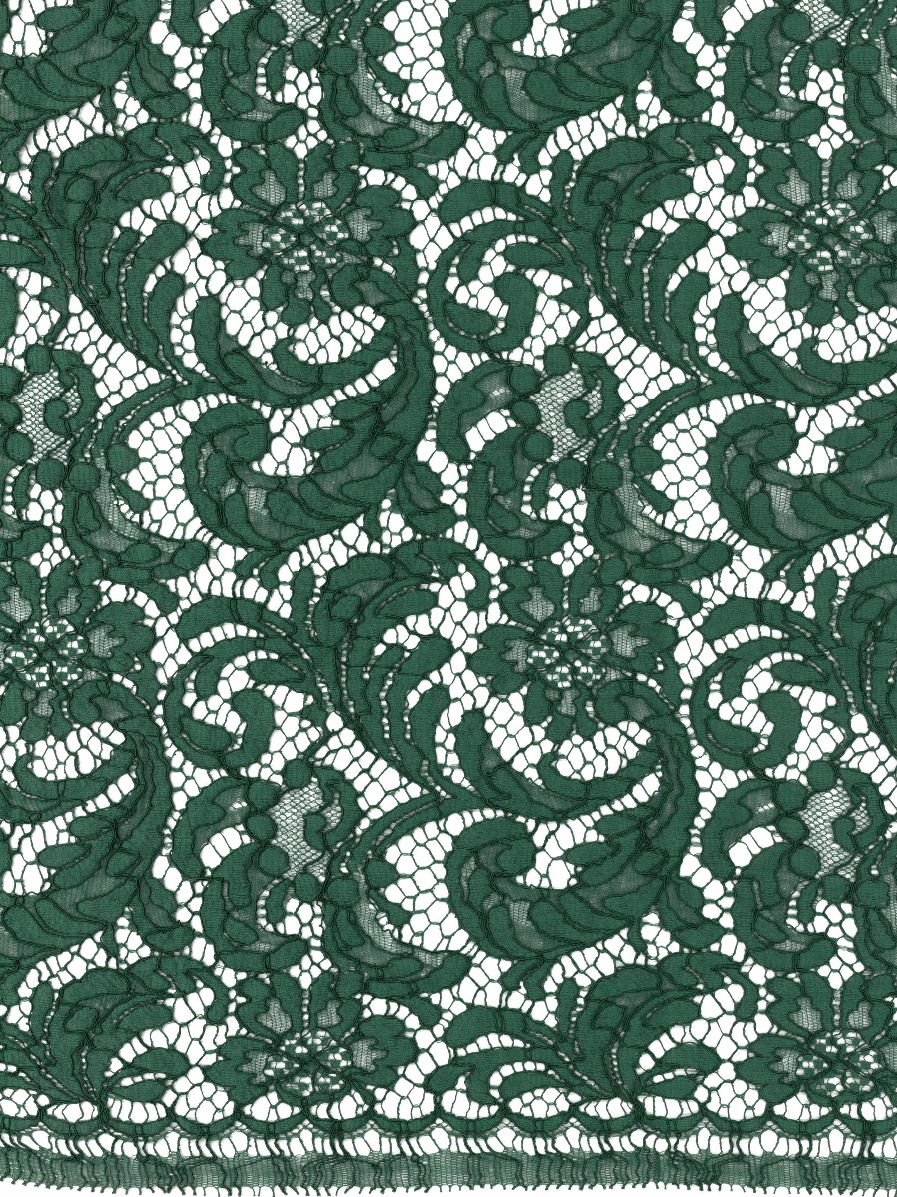 Emerald Eco French Corded Lace - LA4007