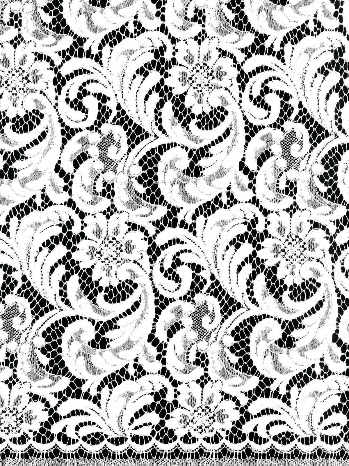 Ivory Eco French Corded Lace - LA4007