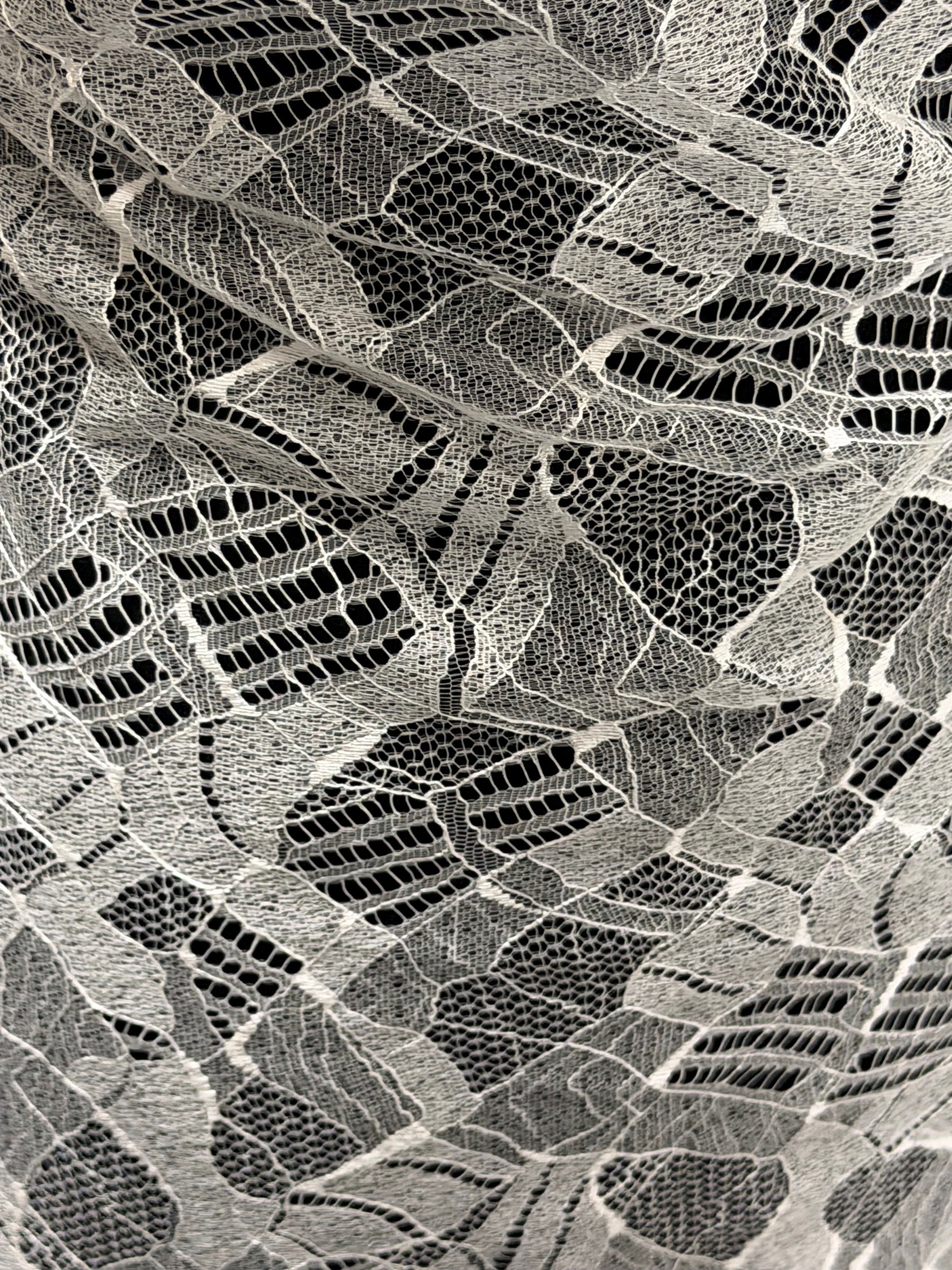 Ivory Lace - LA6002