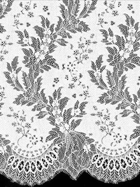 Ivory Stretch Corded Lace - LA7005