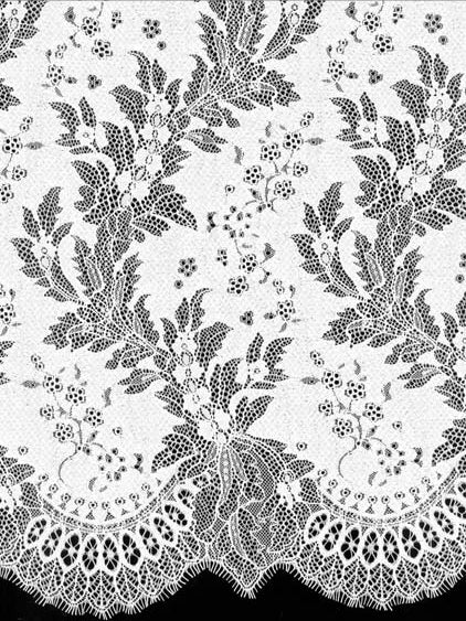 Ivory Stretch Corded Lace - LA7005
