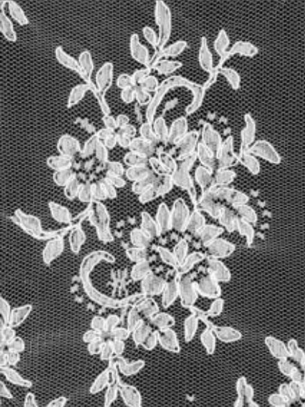 Ivory Corded Lace - LA7013