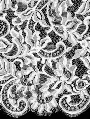 Ivory Corded Lace - LA7014