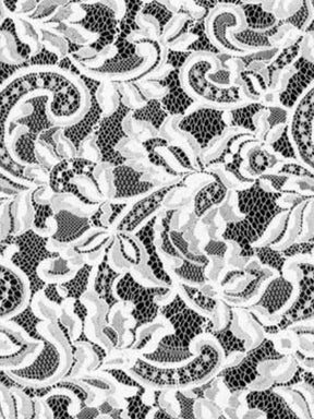 White Corded Lace - LA7014