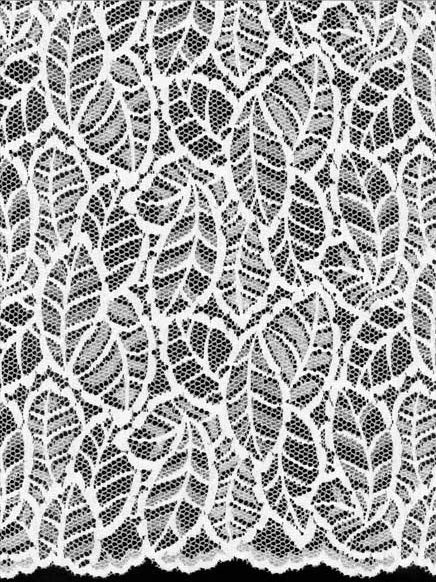Ivory Stretch Lace - LB7003