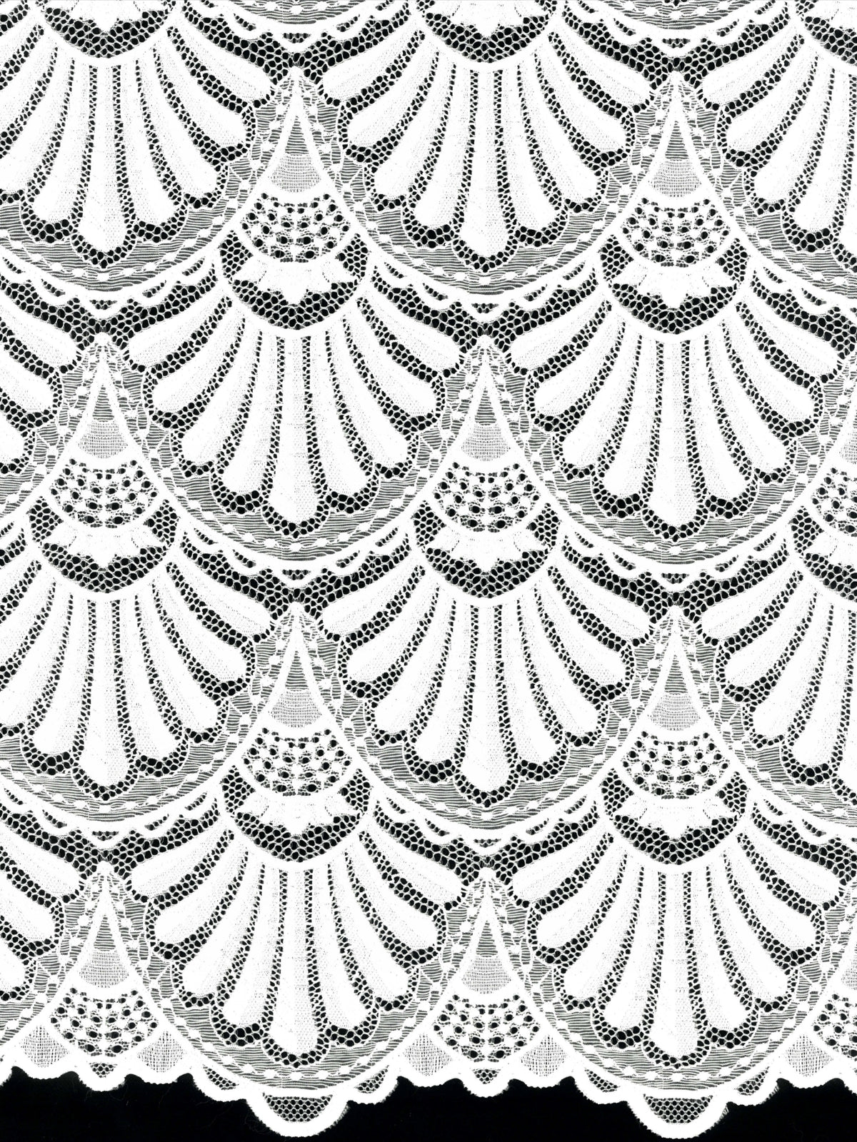 Ivory Stretch Lace - LB7009