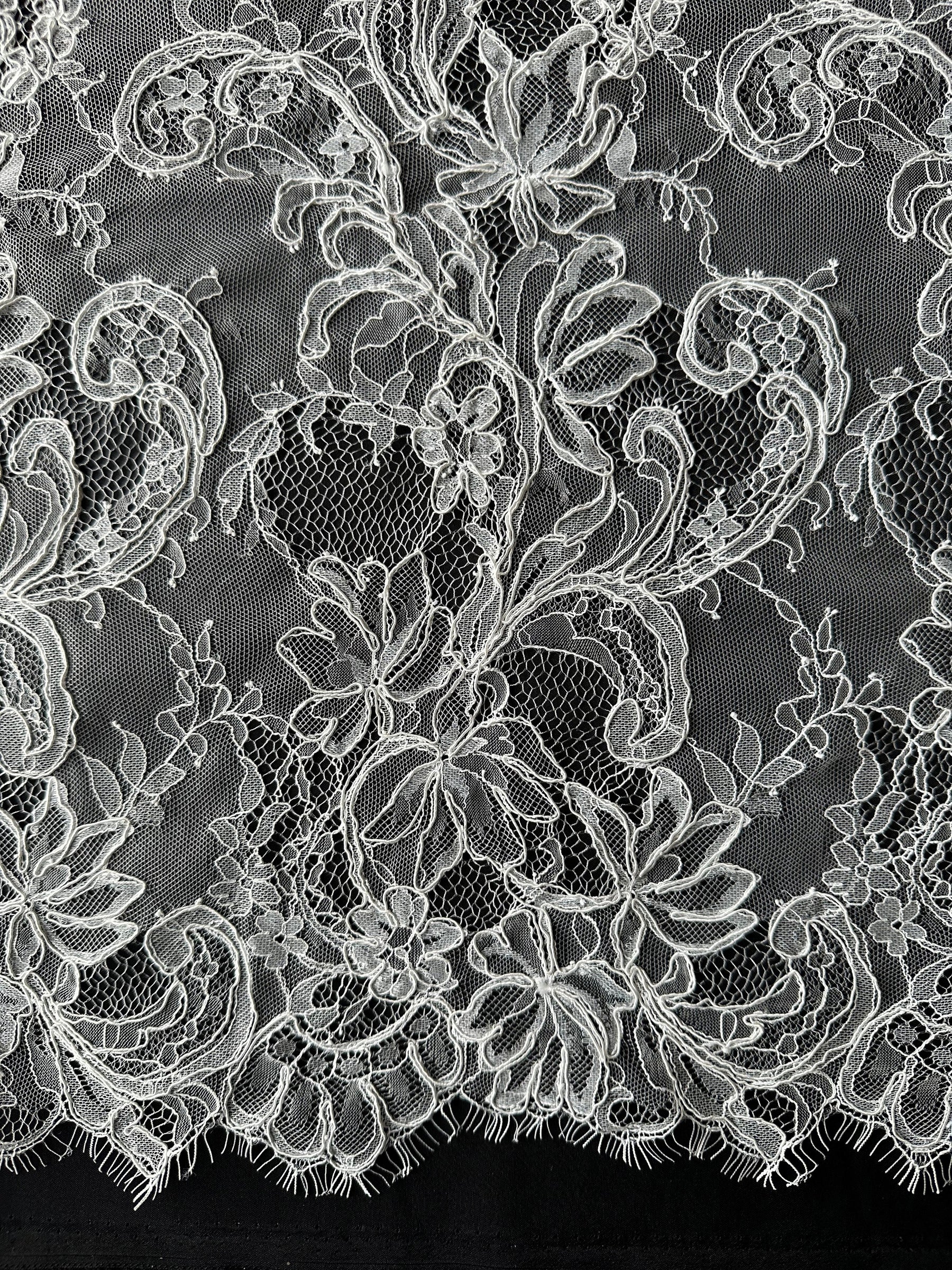 Ivory Corded Lace – Mercer