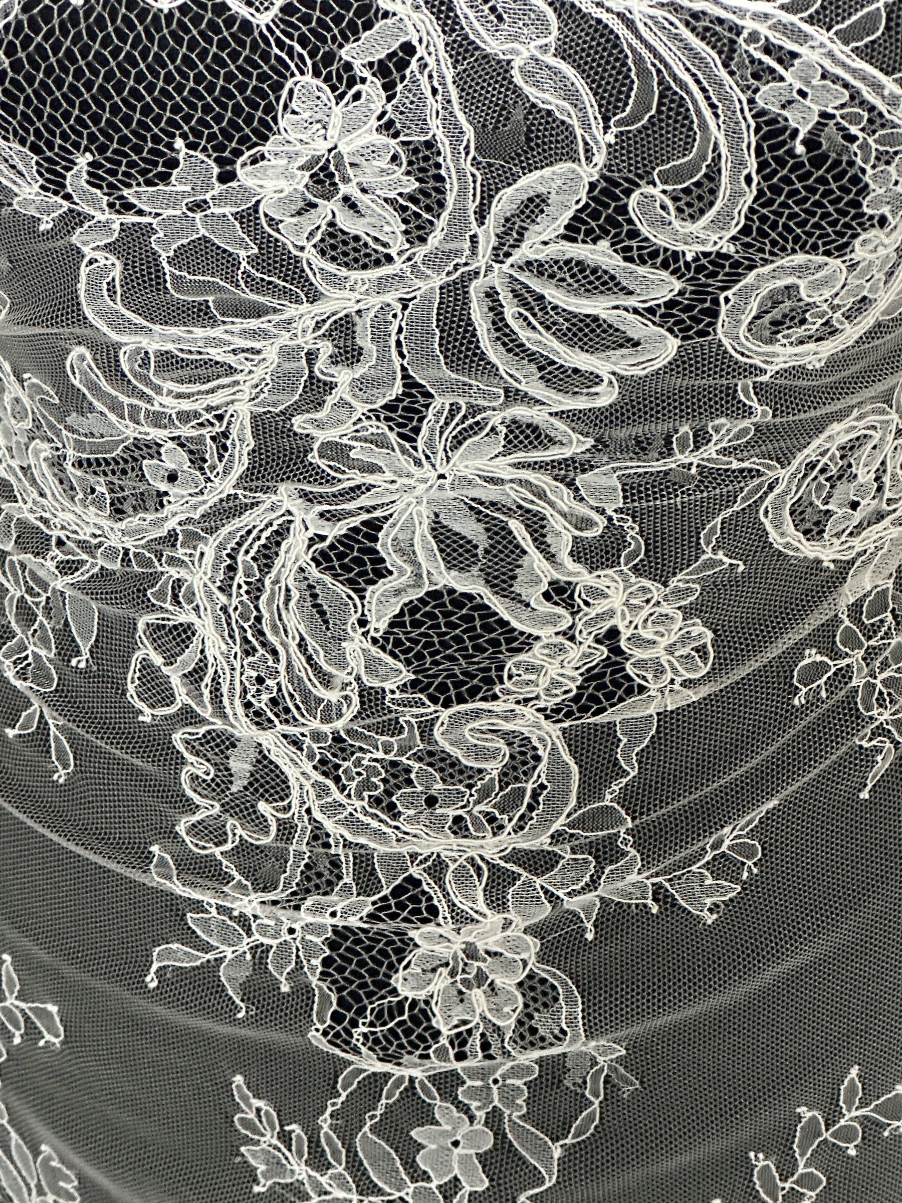 Ivory Corded Lace – Mercer