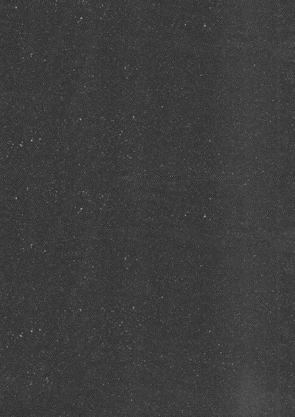 Ivory with Silver Glitter Tulle - P15