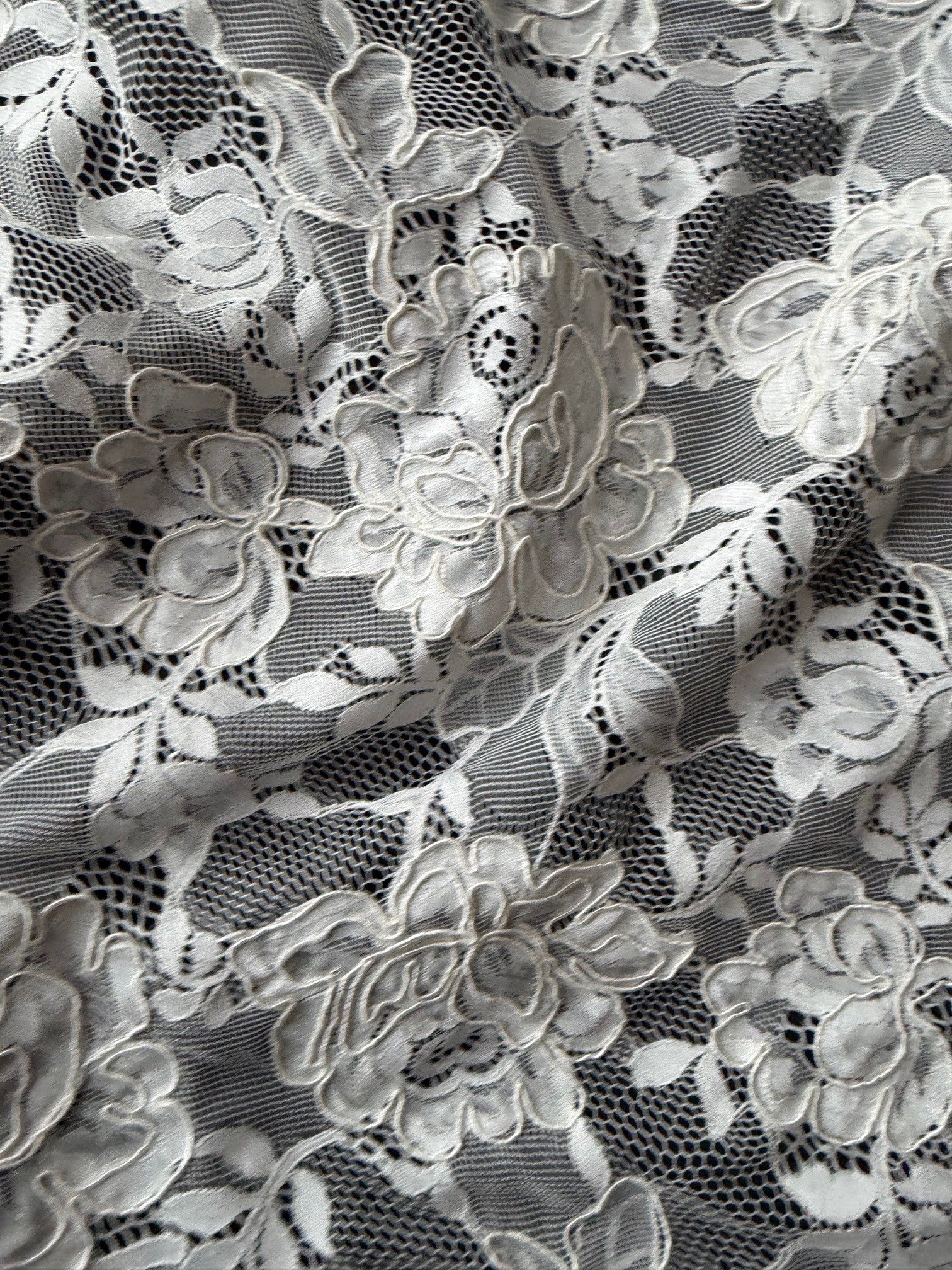 Ivory Corded Lace - P213
