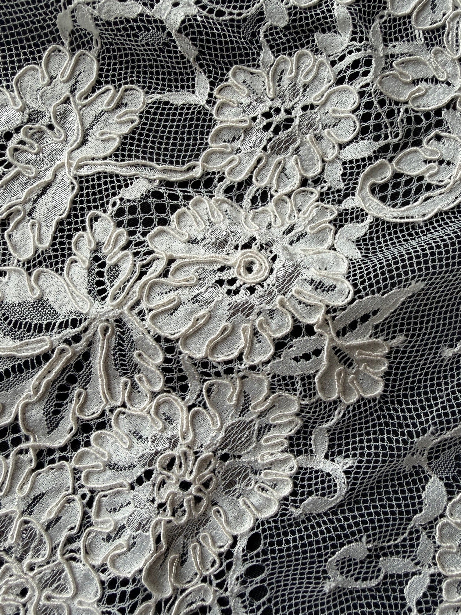 Ivory Corded Lace - Brogan P376