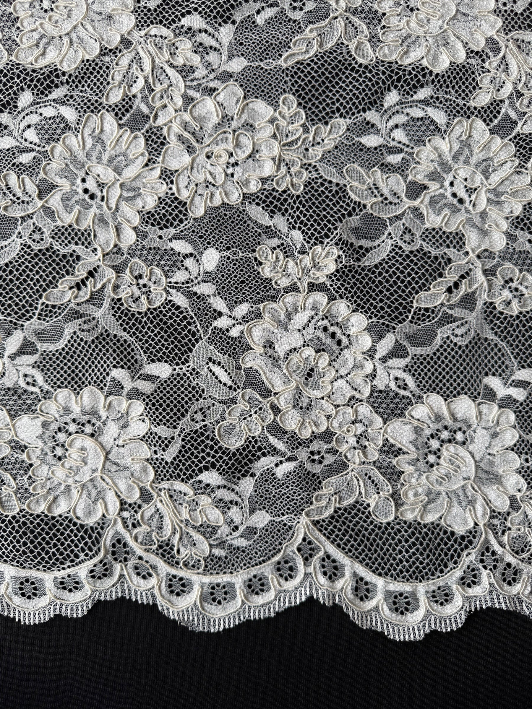 Ivory Corded Lace - P442