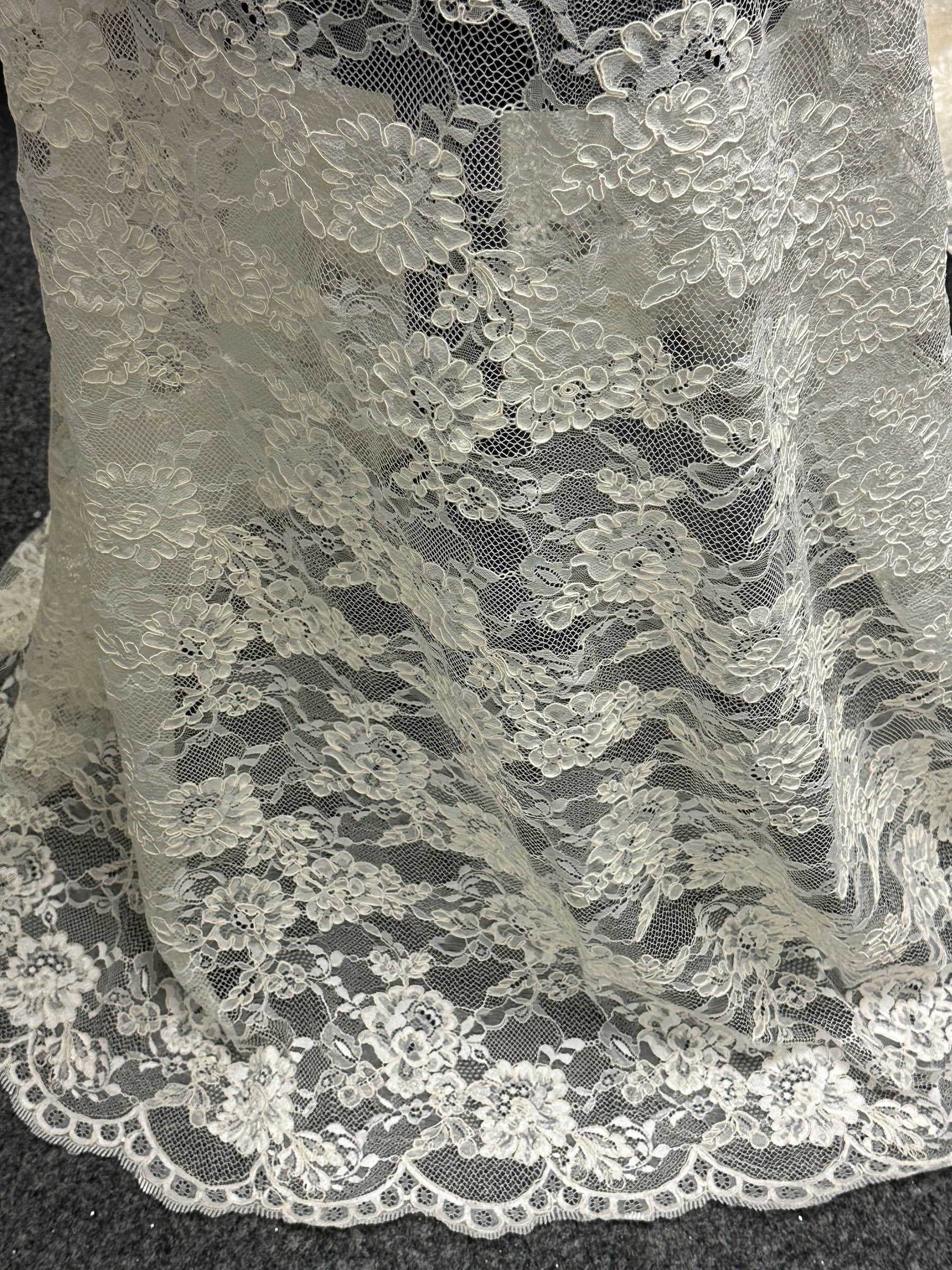 Ivory Corded Lace - P442