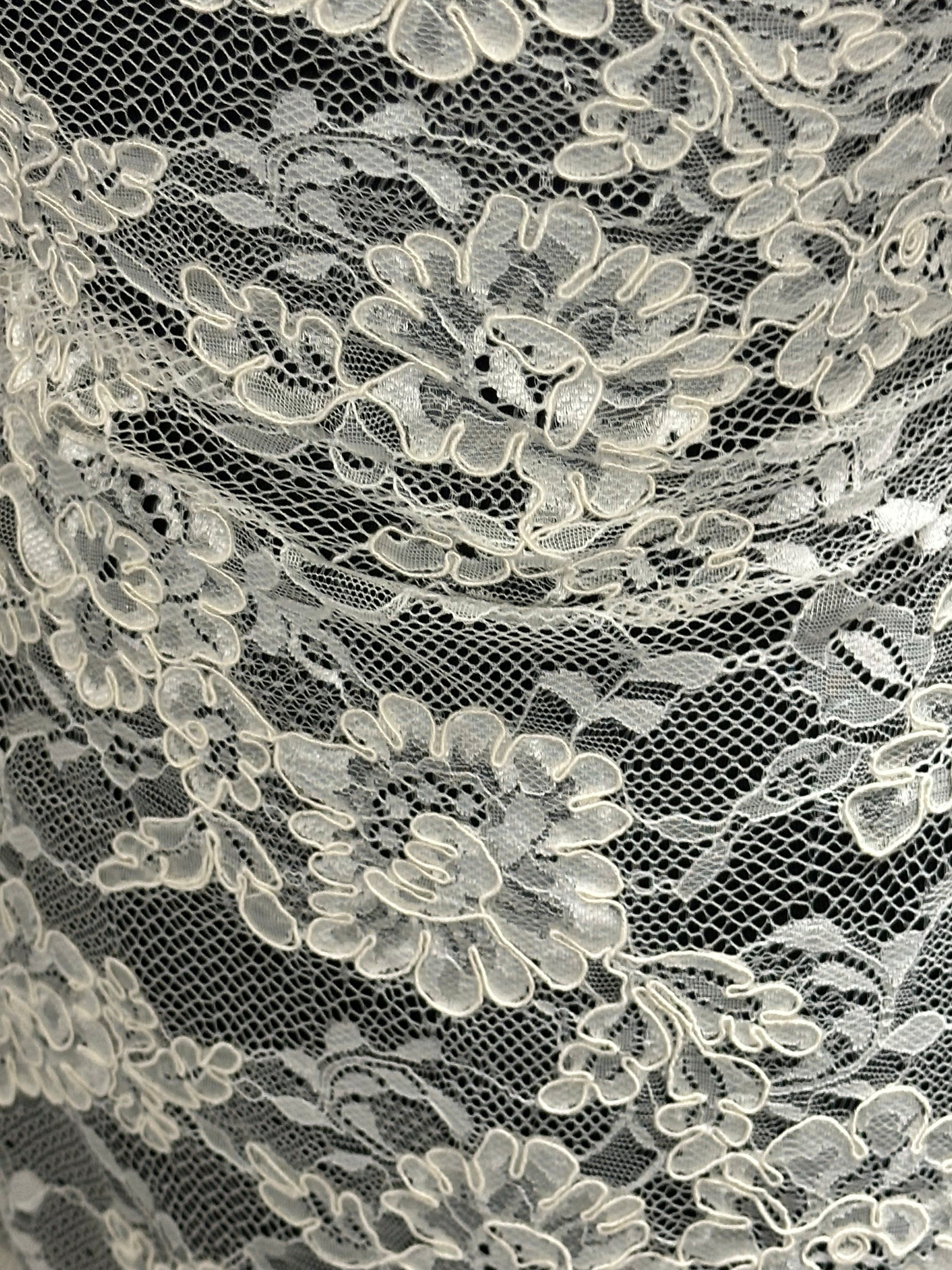 Ivory Corded Lace - P442