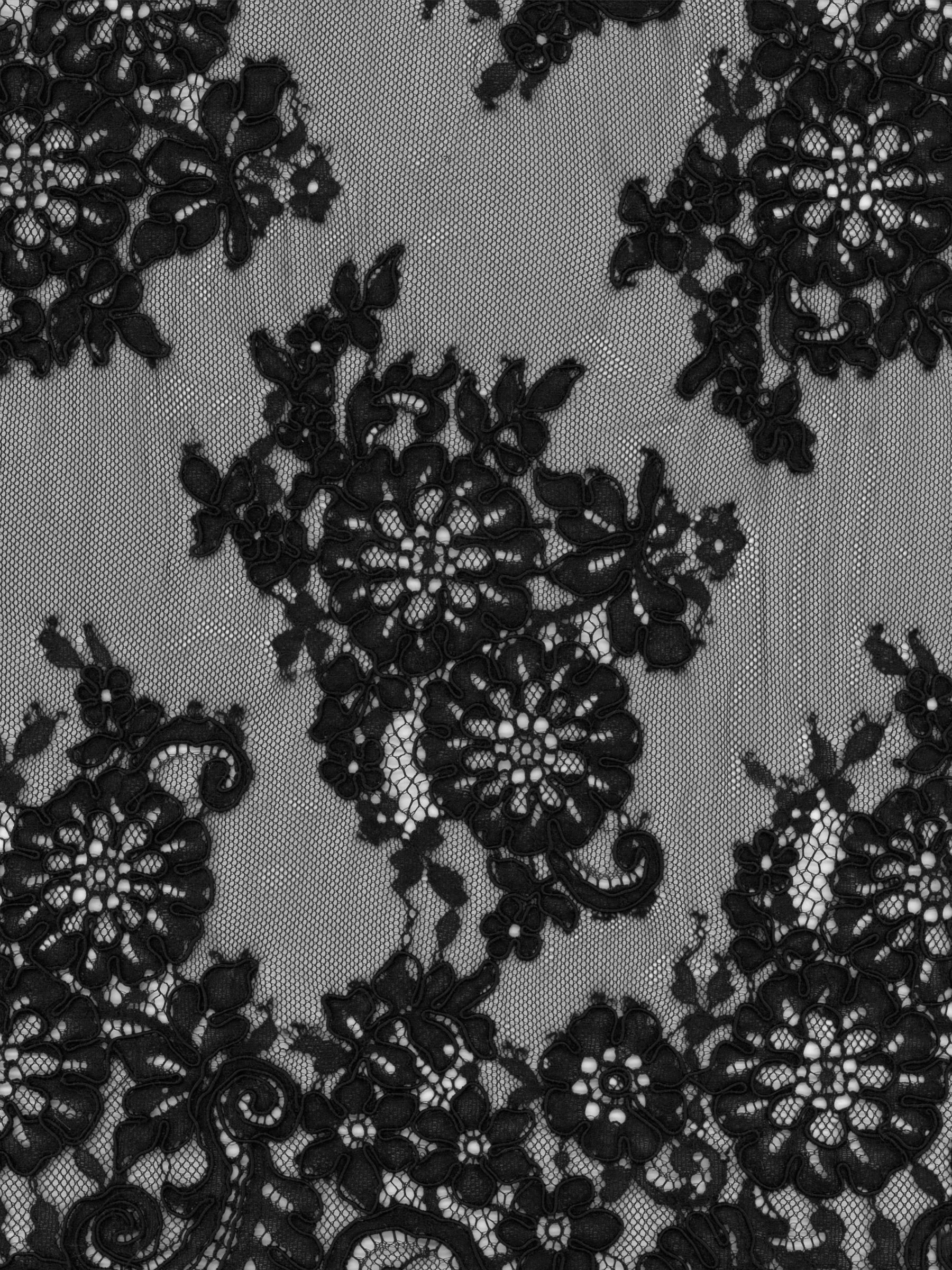 Black Corded Lace - P655