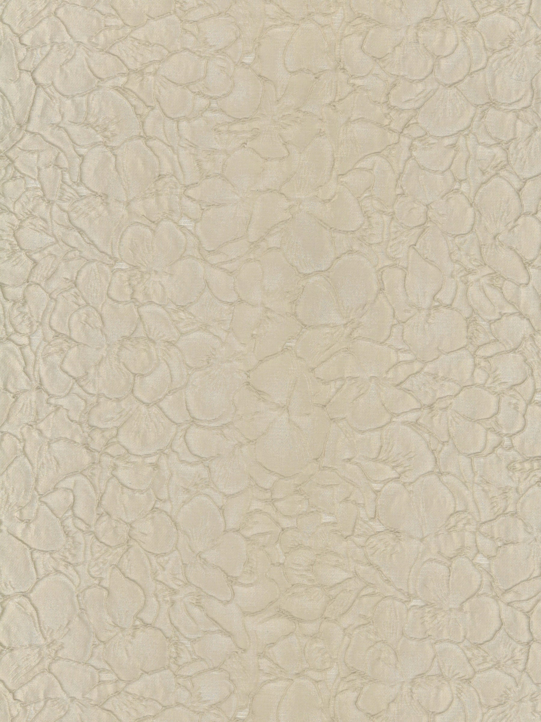 Coffee Jacquard - P659