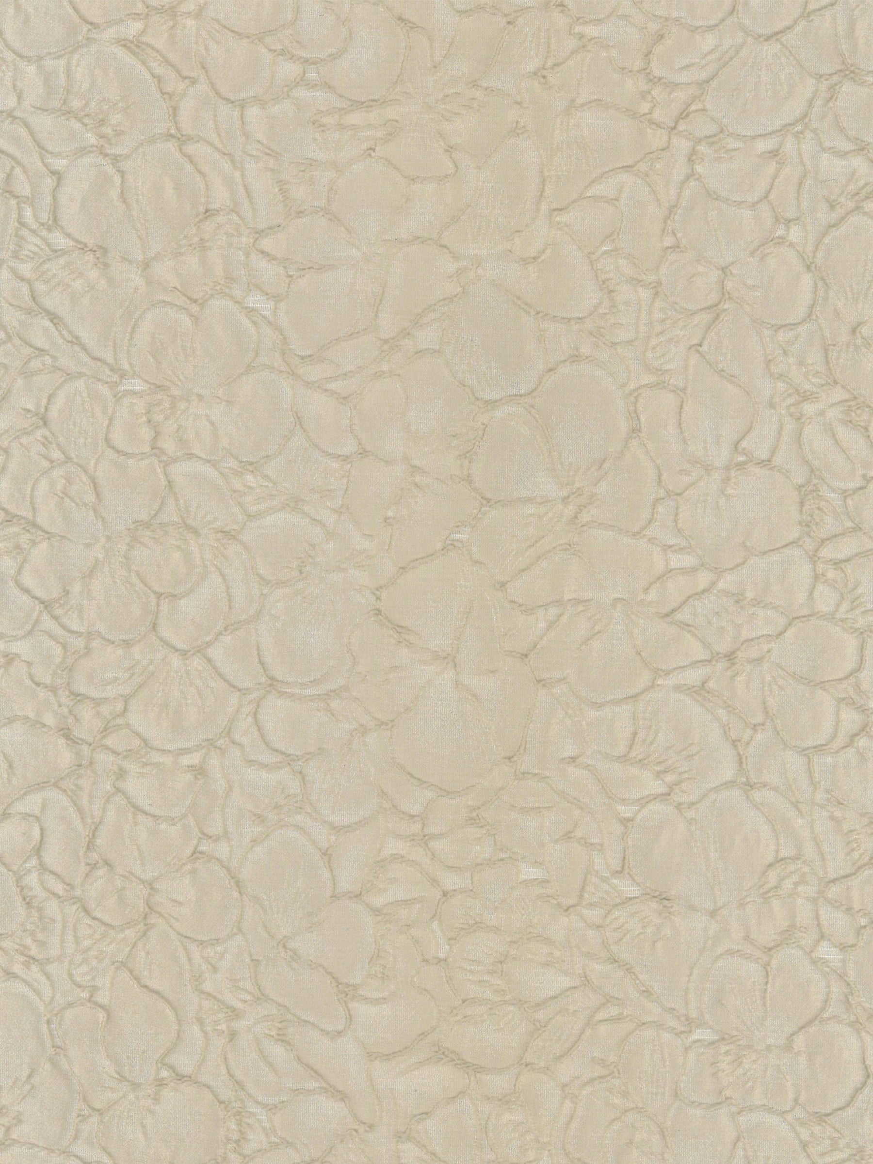Coffee Jacquard - P659