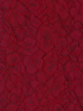 Wine Jacquard - P659