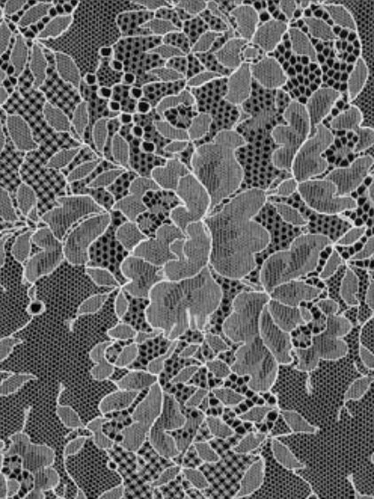 Ivory Lace - P731