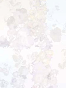 Light Ivory/Multi Printed Organza - PR2007