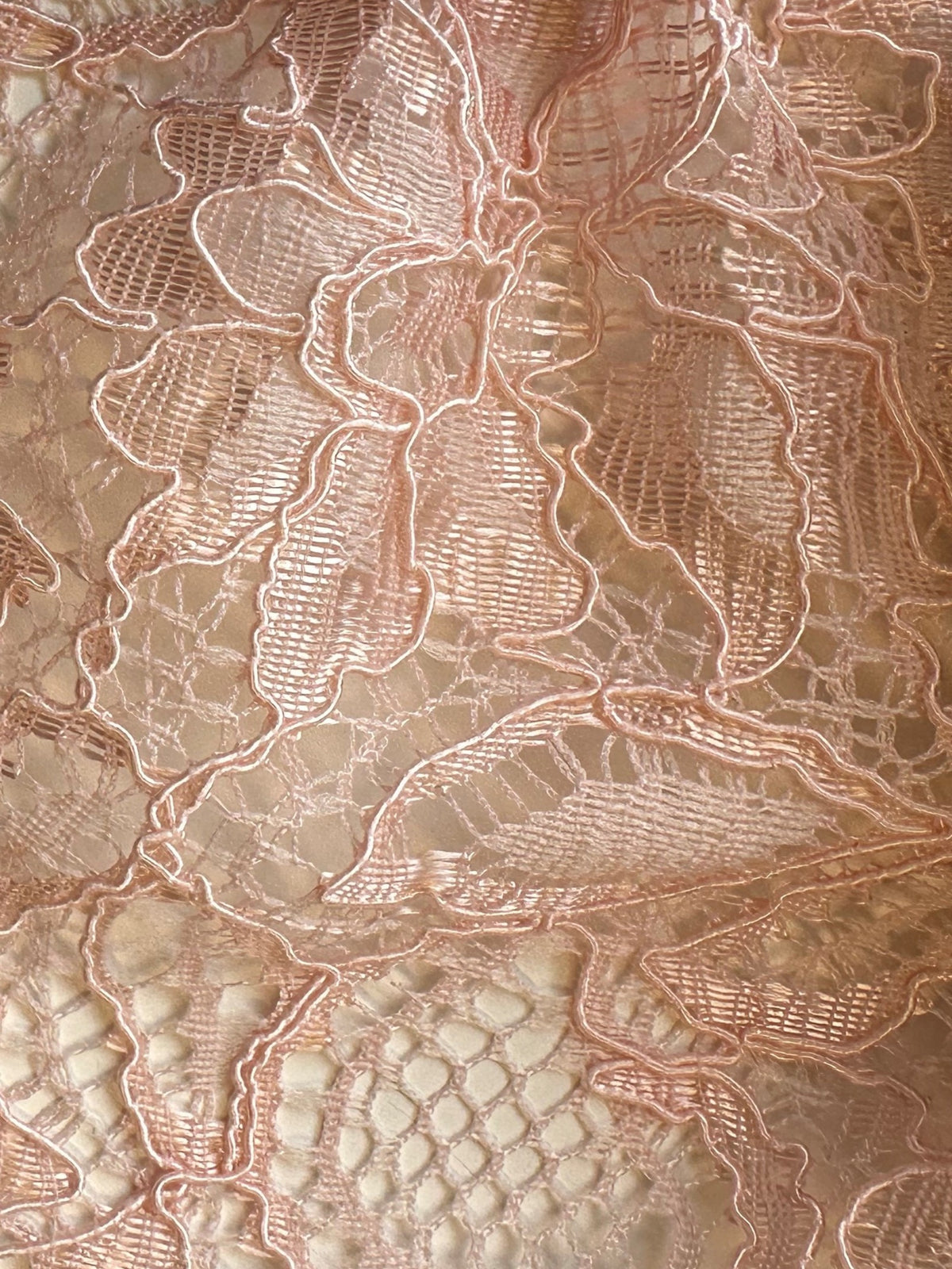 Pearl Blush Corded Lace - Tocca