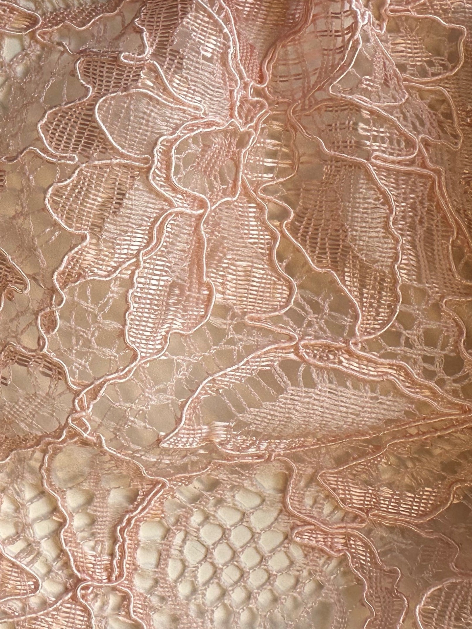 Pearl Blush Corded Lace - Tocca