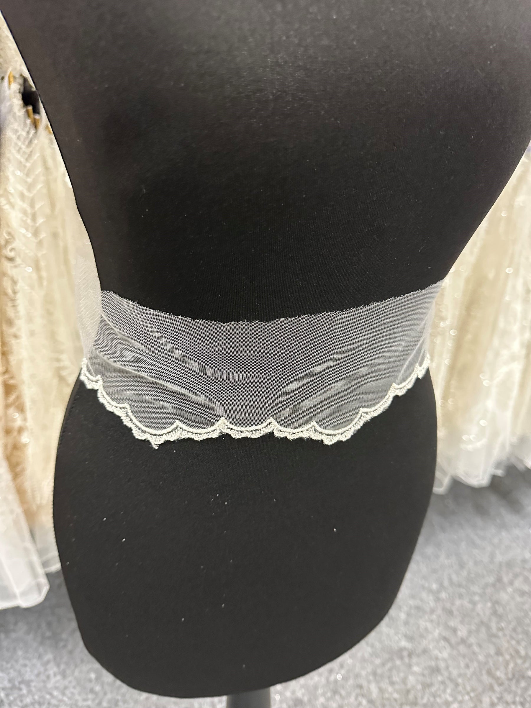 Ivory Embroidered Lace Trim - T202