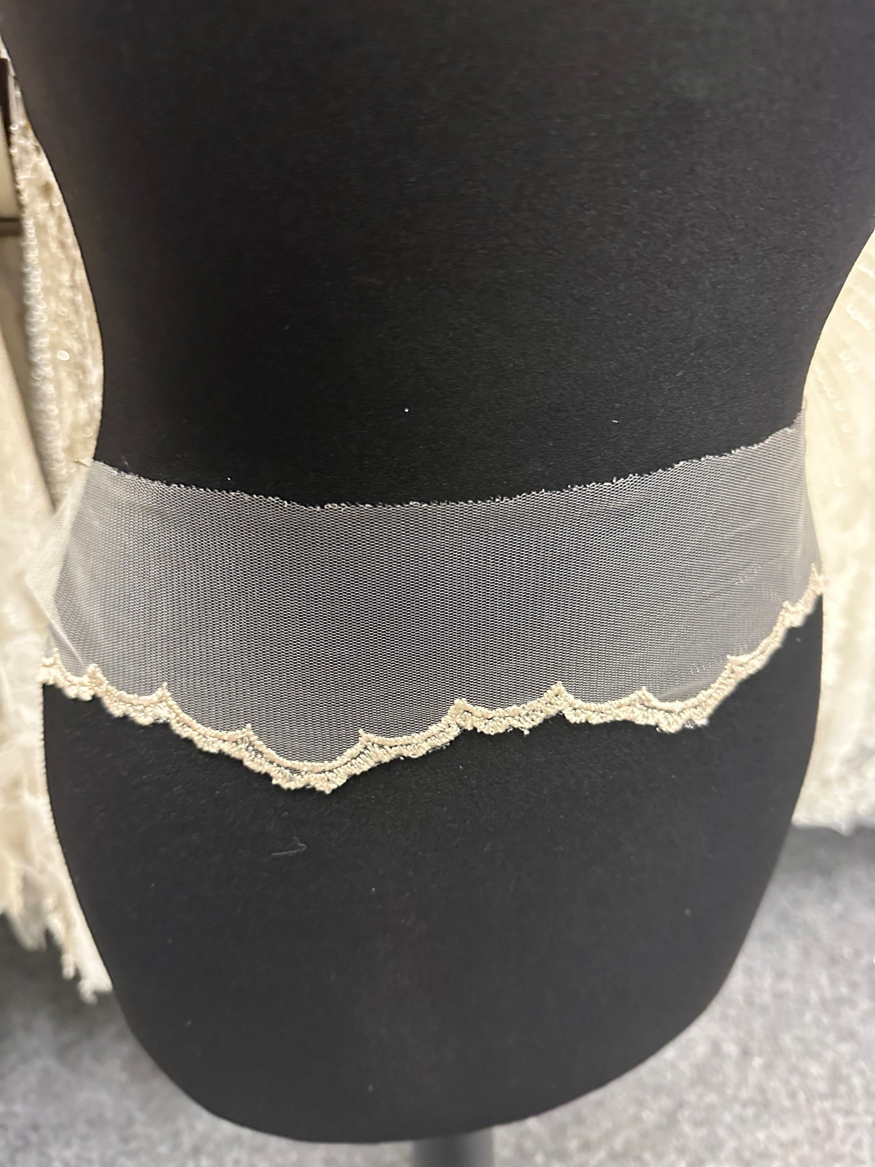 Ivory with Dark Champagne Embroidered Lace Trim - T202