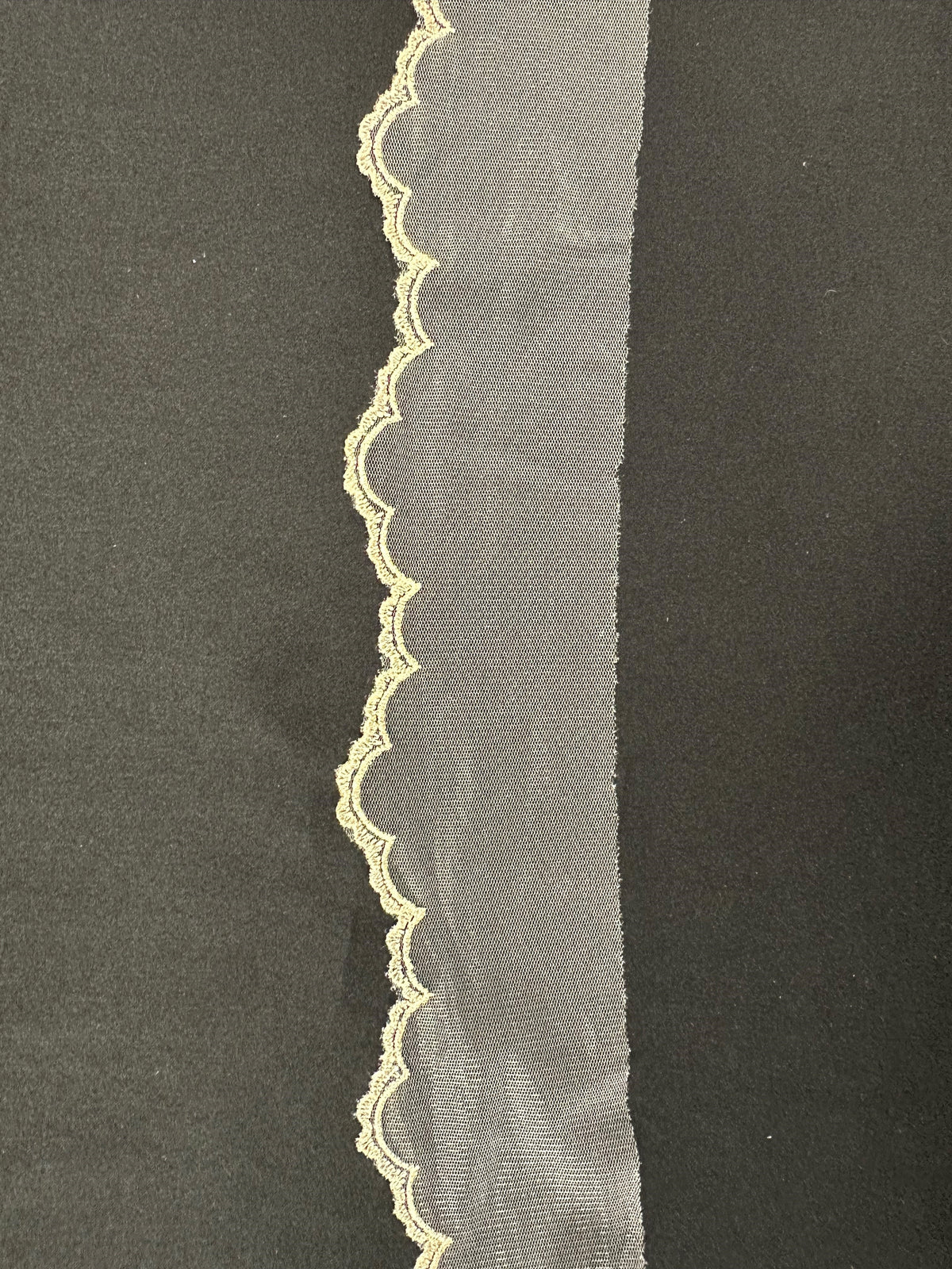 Ivory with Dark Champagne Embroidered Lace Trim - T202