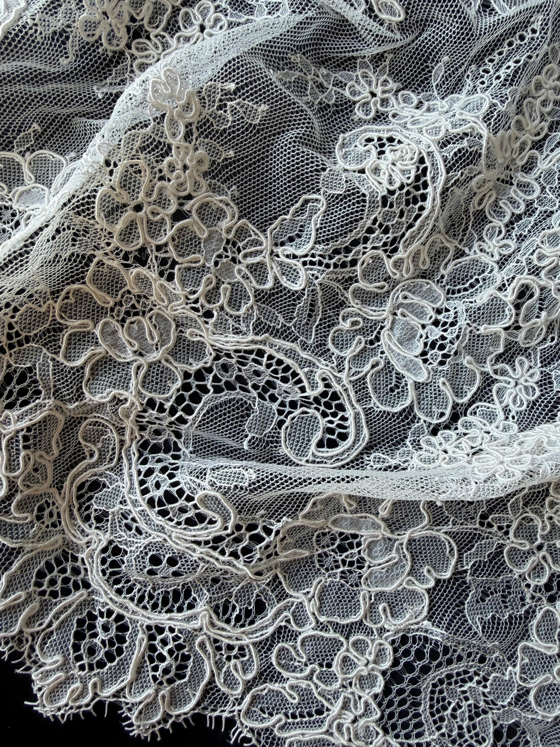 Ivory Corded Lace Trim - T477