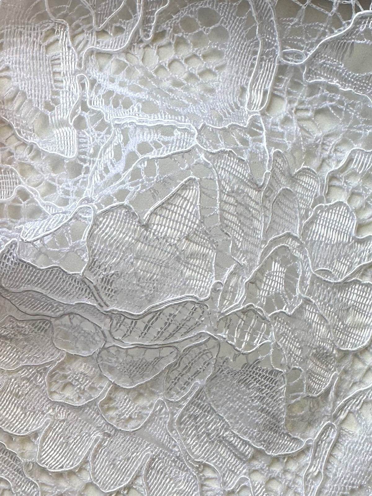 White Corded Lace - Tocca