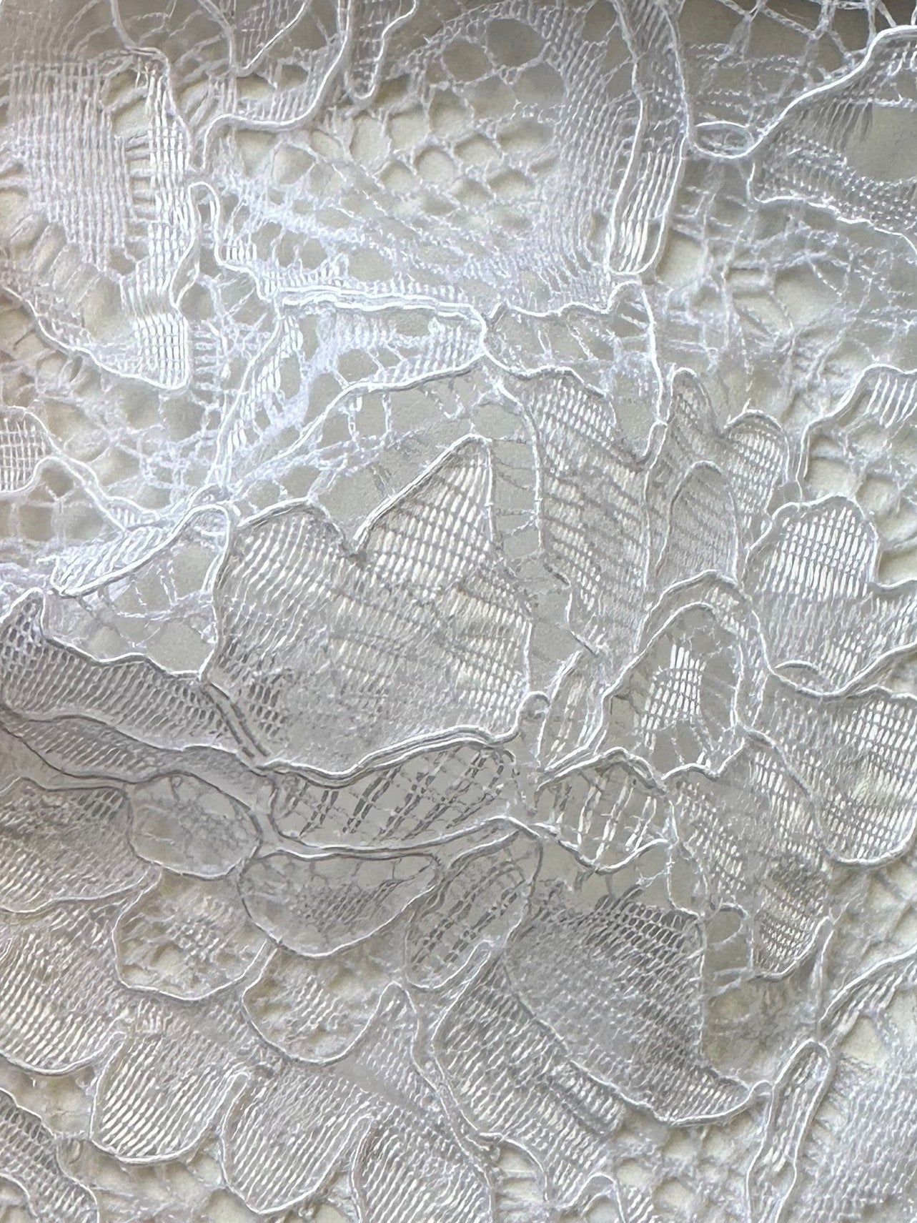 White Corded Lace - Tocca