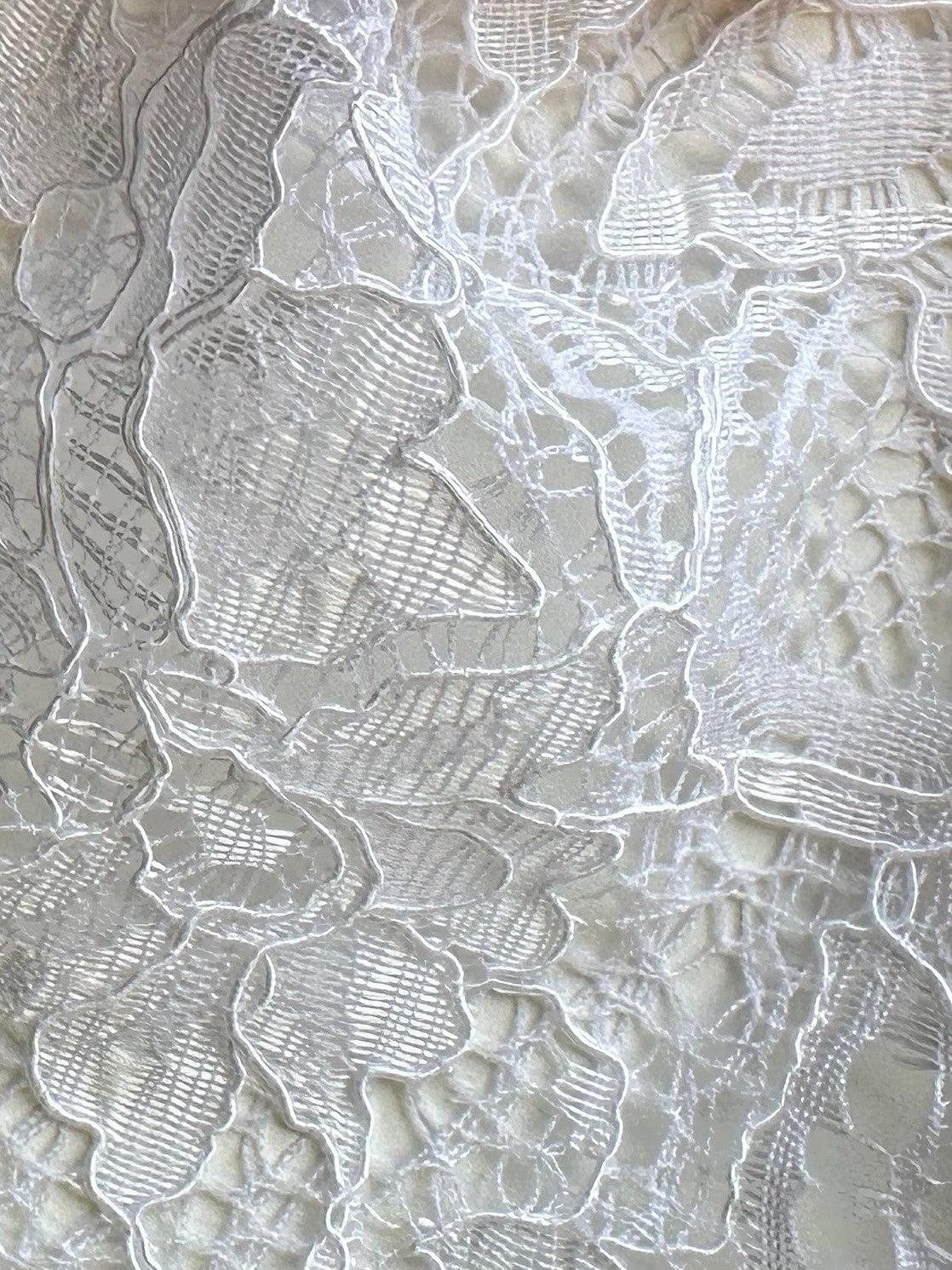 White Corded Lace - Tocca
