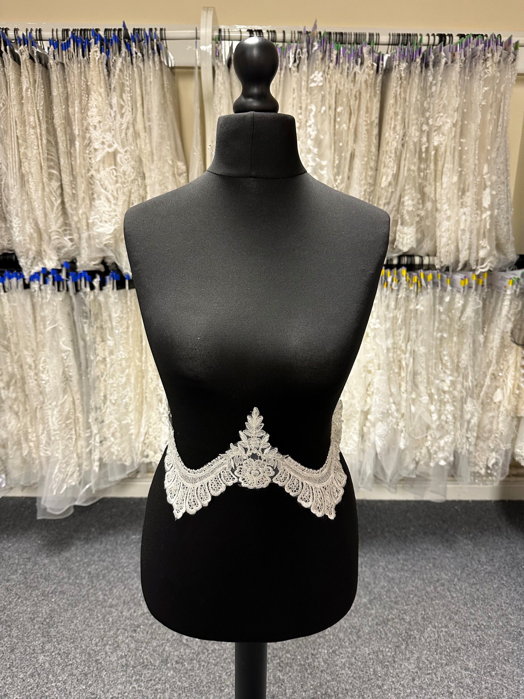 Ivory Embroidered Lace Trim with Beading - Topiary