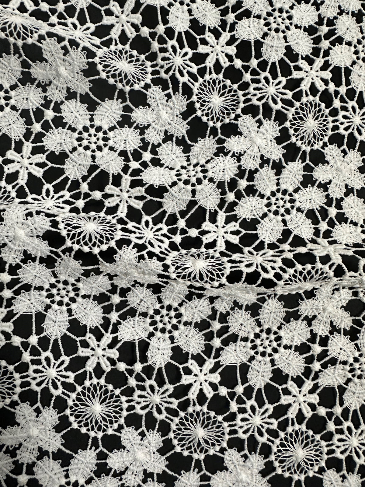 Ivory Guipure Lace - Dragoon