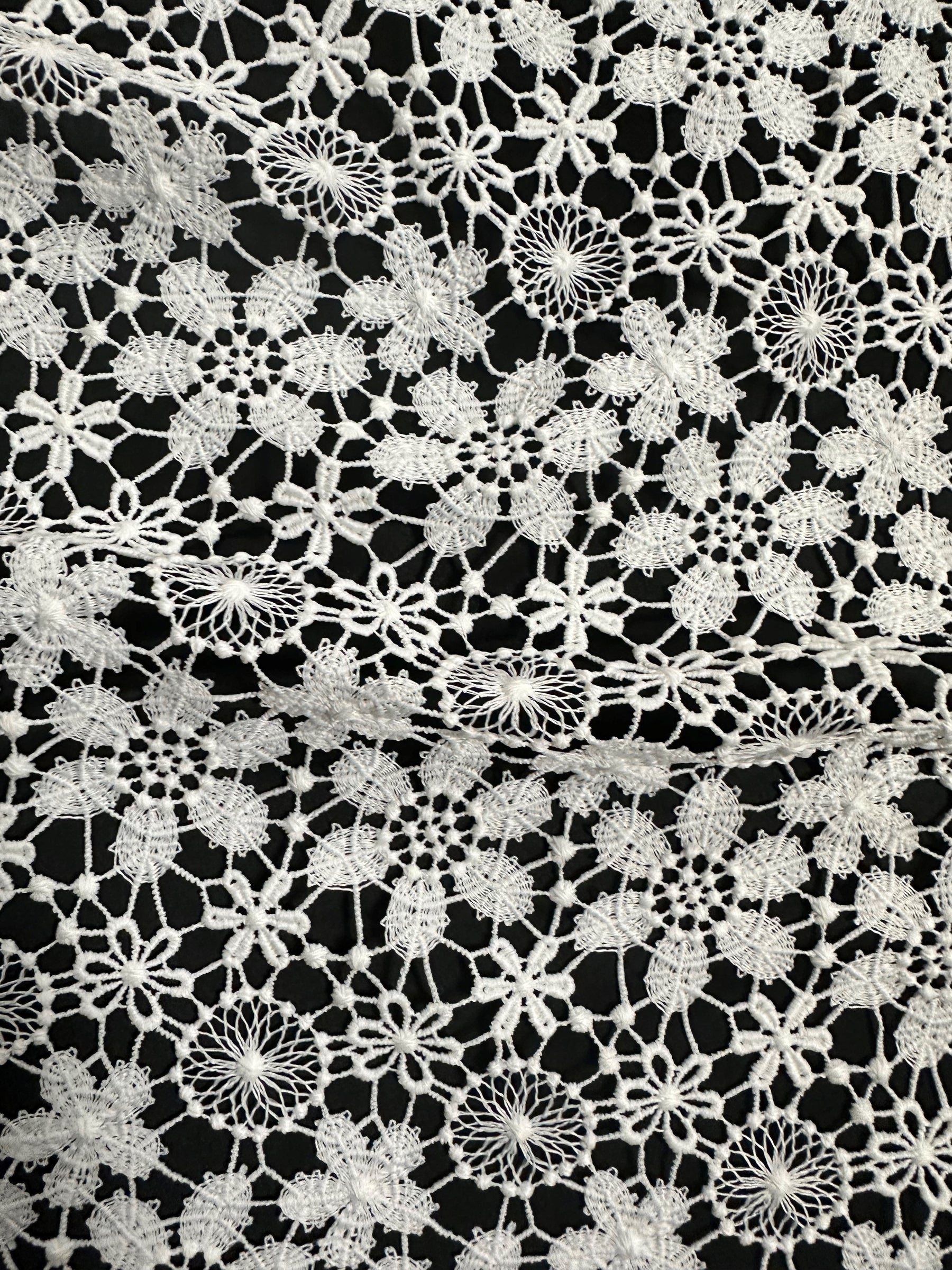 Ivory Guipure Lace - Dragoon