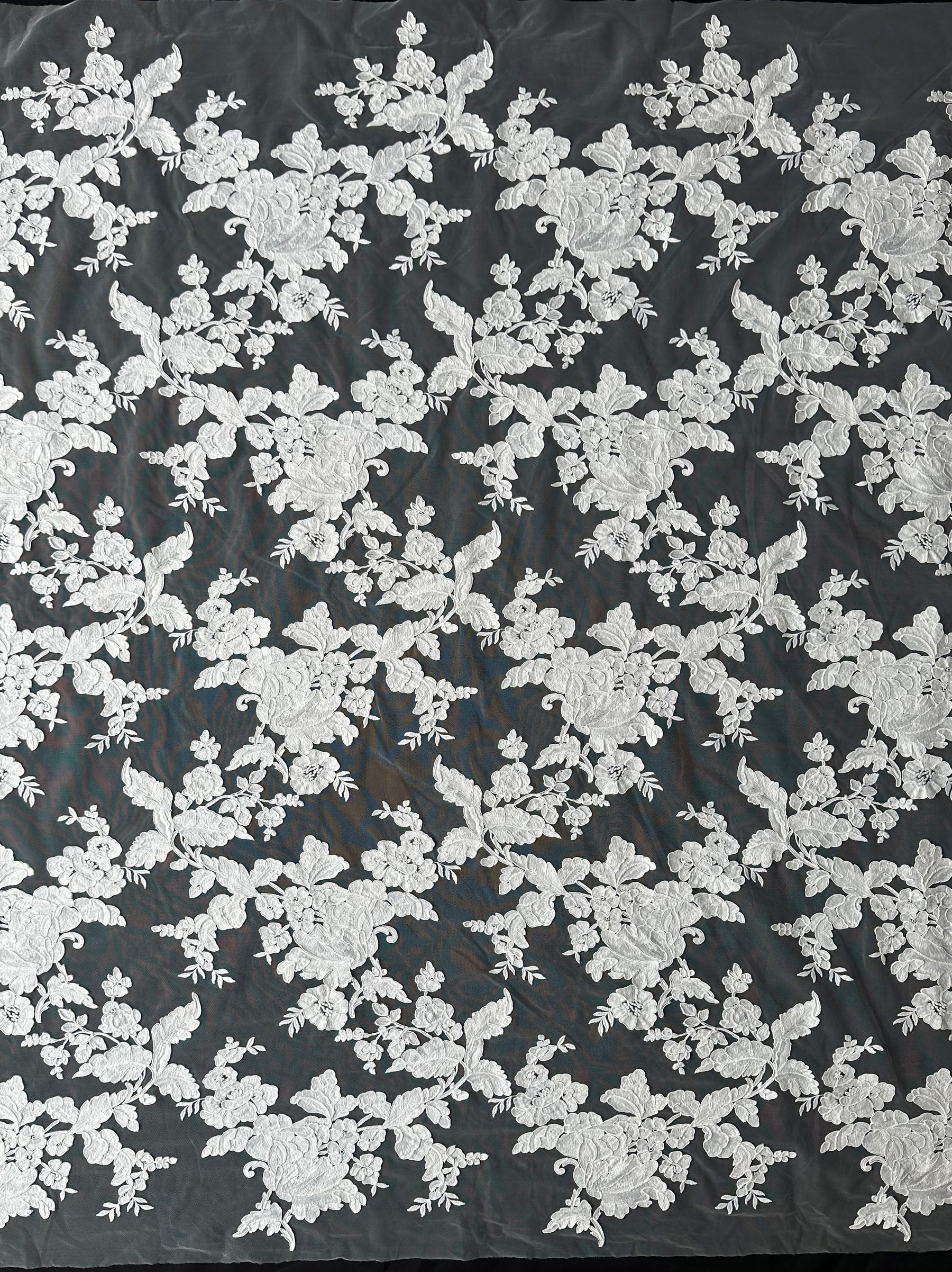 Ivory Corded Lace - Gossip