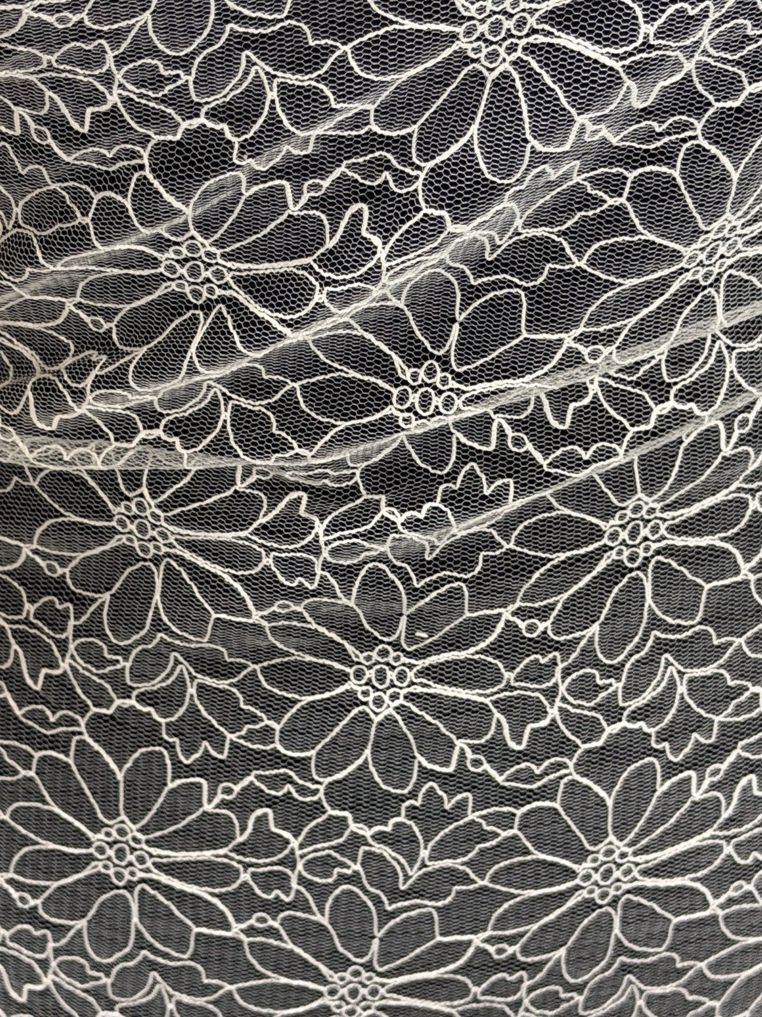 Ivory Bridal Lace - EB5021