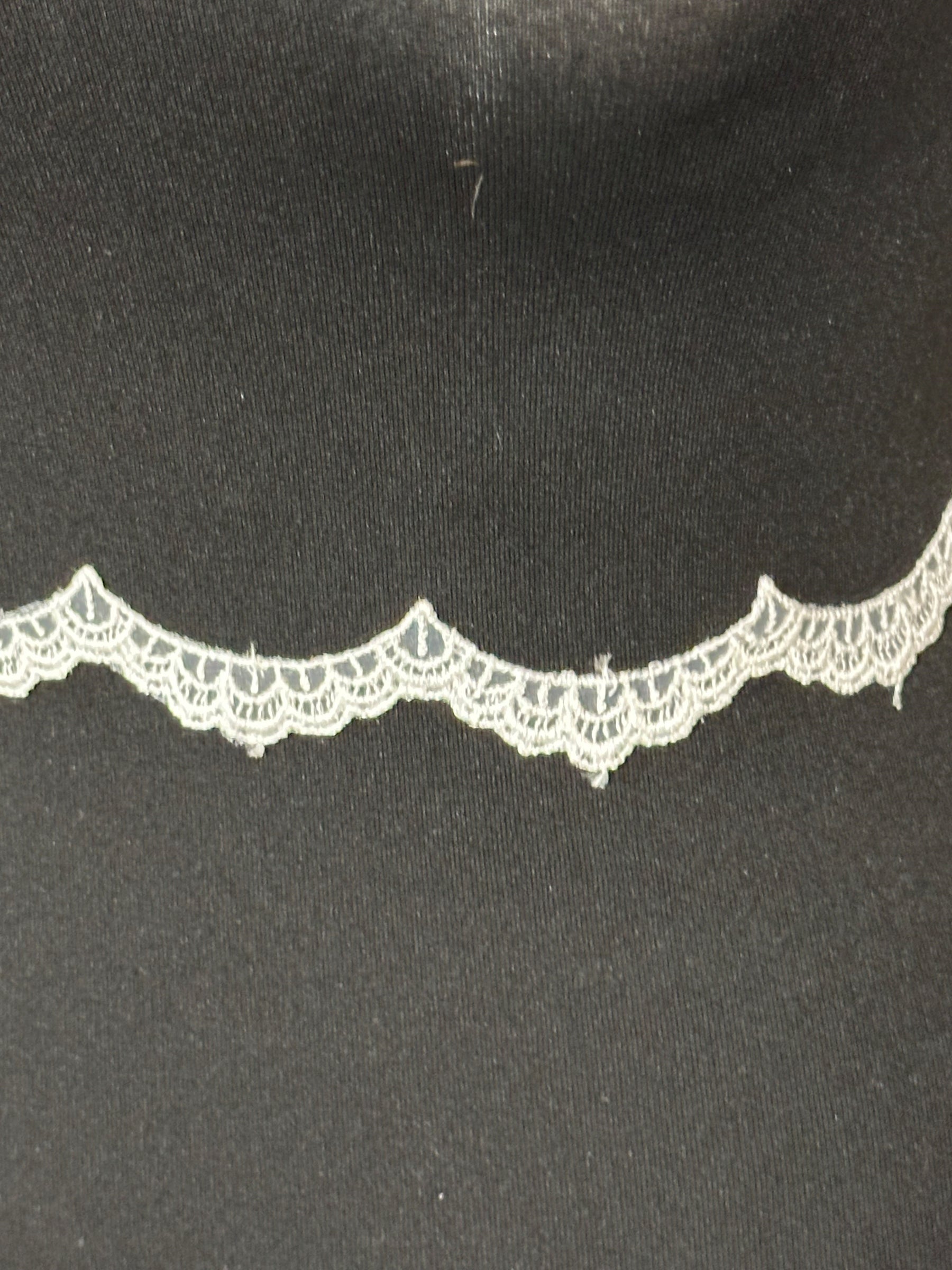 Ivory Embroidered Lace Trim - T232