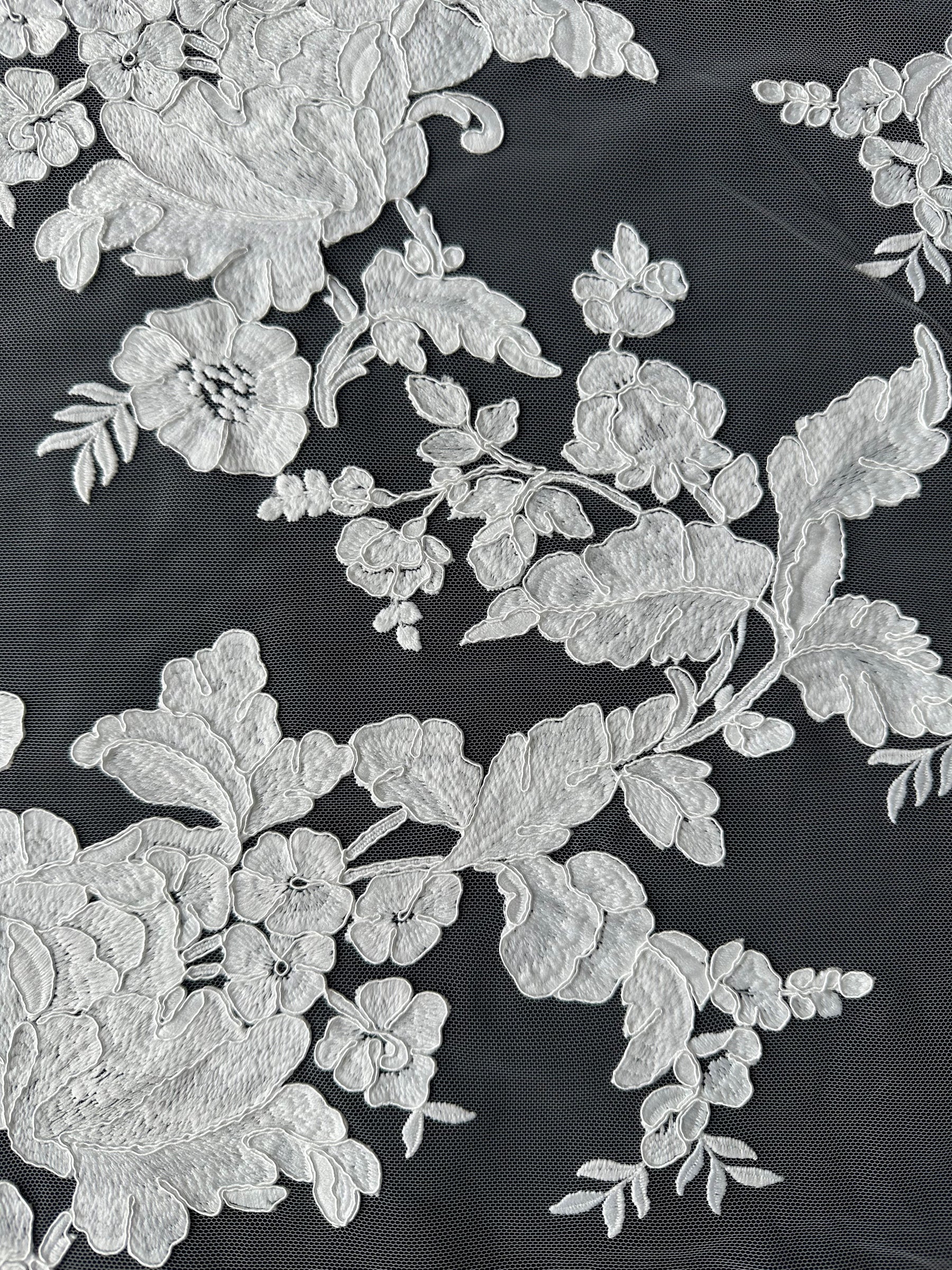 Ivory Corded Lace - Gossip