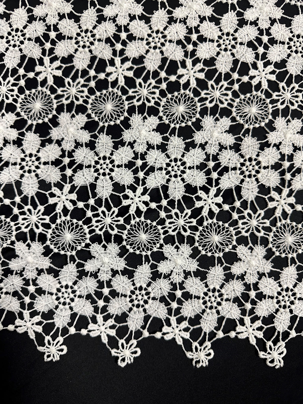 Ivory Guipure Lace - Dragoon