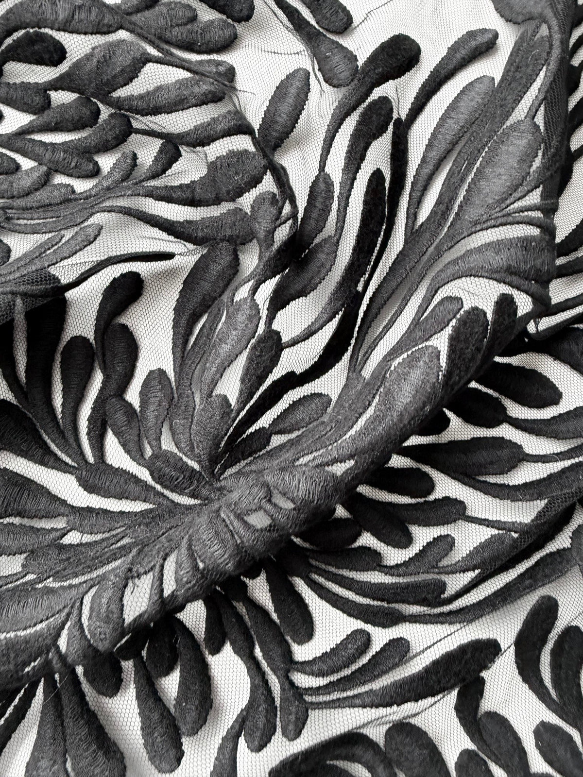 Black Embroidery Lace - EB5053