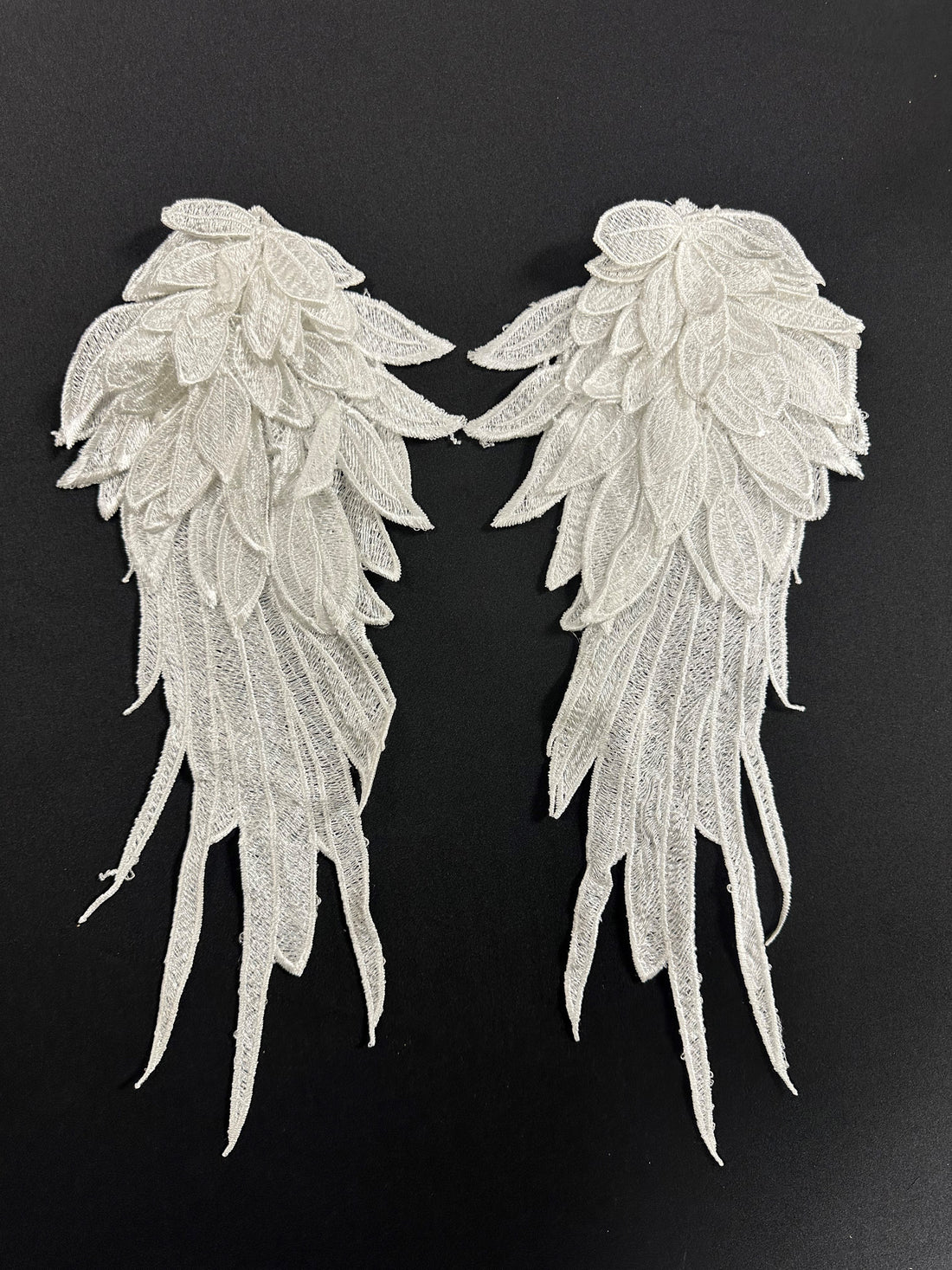 Ivory Embroidered Appliques Icharus