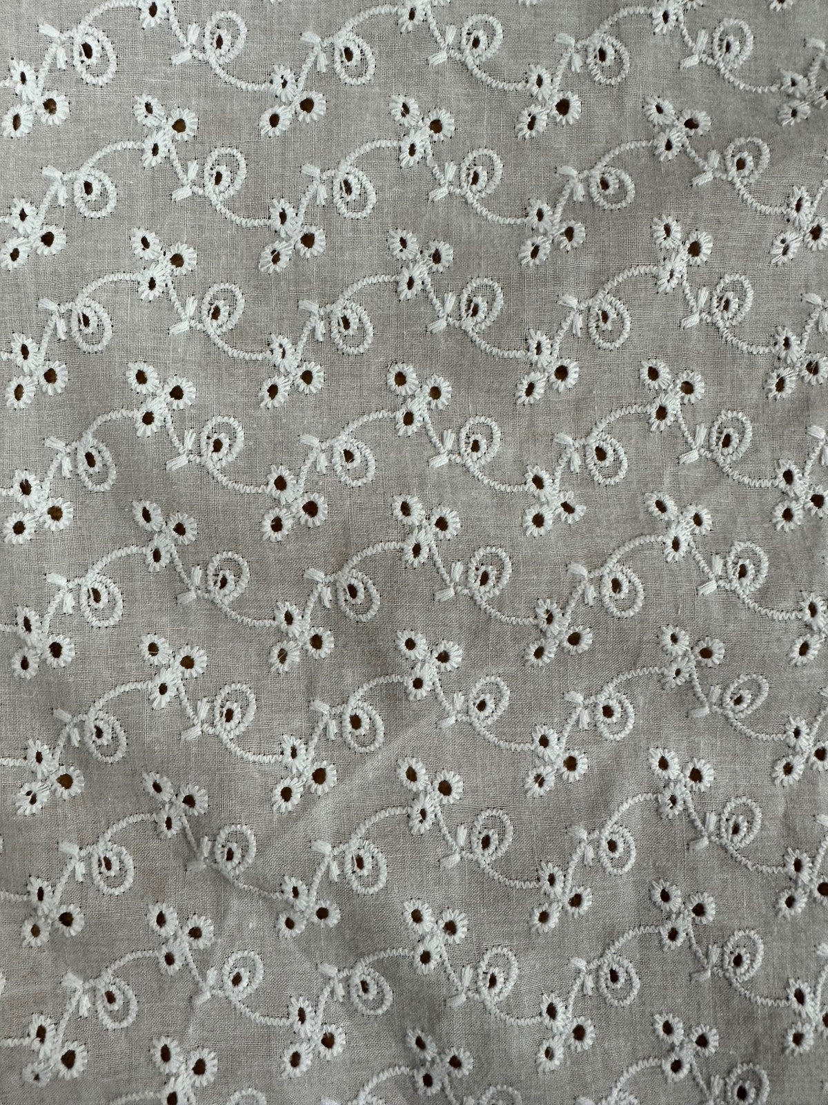 Ivory Broderie Anglaise - Cork