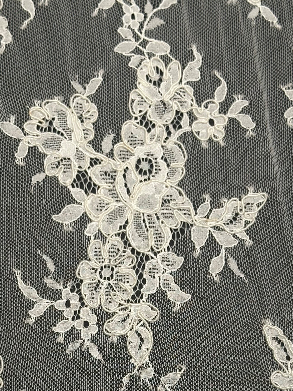 Ivory Corded Lace – Teresa (CF)