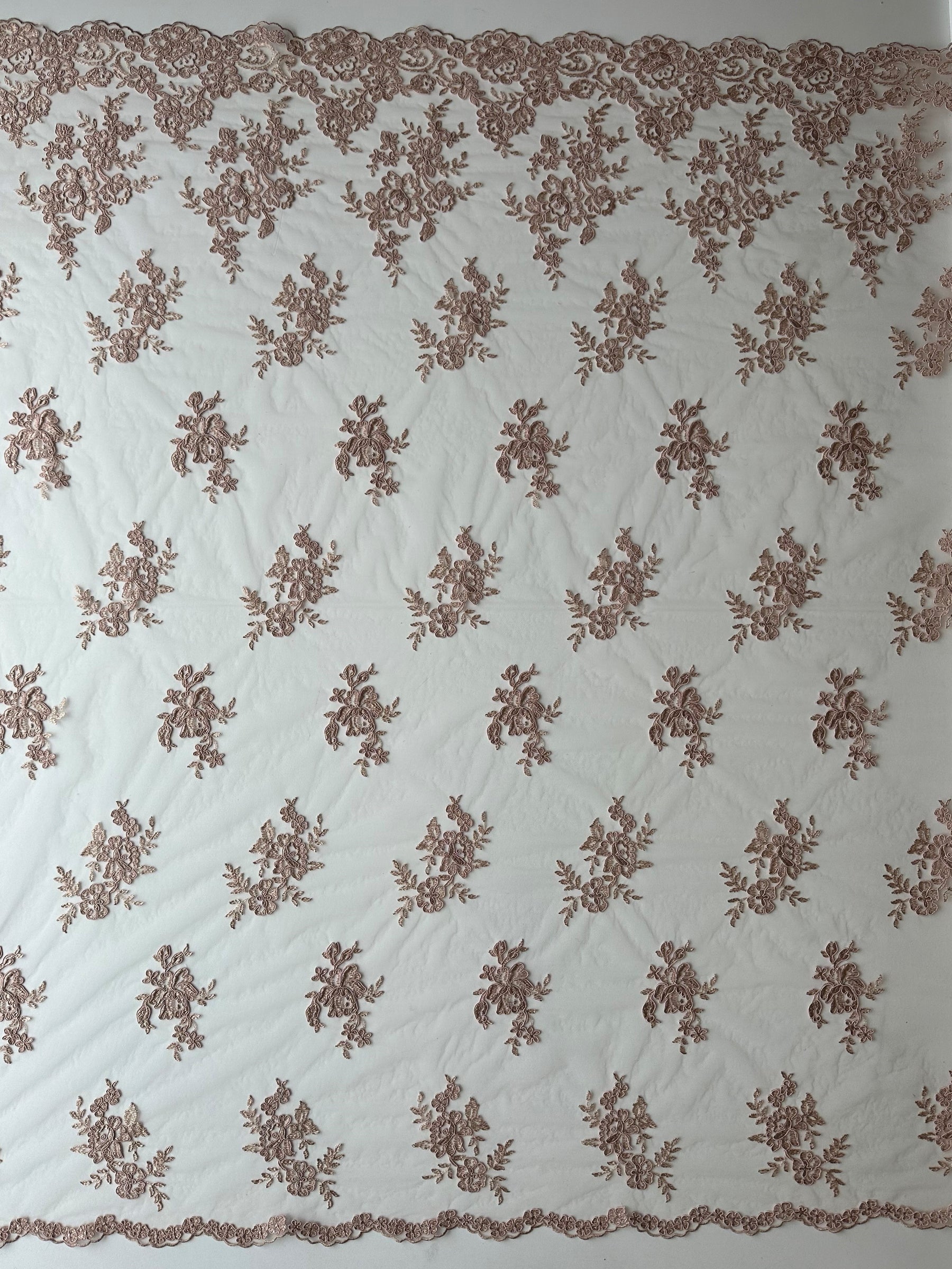 Nude Unbeaded Corded Lace - Nightfall